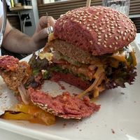   at Venitien in Blankenberge