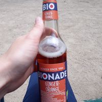 Bionade (soft) at Hank Cuisine Végétale - Archives in Paris