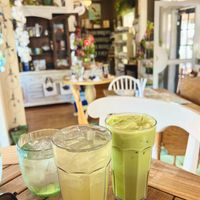 Vegan Matcha Latte and Yerba Matte with Coconut  at Tea House 650 Cafe in Crystal River