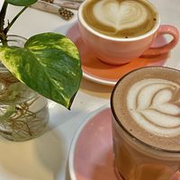   at Let It Bloom in Valencia