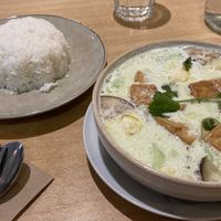 Green curry with tofu and rice   #Veganuary at Sunflower Thai Vegetarian Restaurant in Auckland