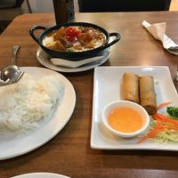 spring rolls and massaman curry at Sunflower Thai Vegetarian Restaurant in Auckland
