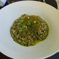 Risotto. at Grampsas Winery & Restaurant in Planos