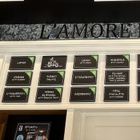 Menu with vegan labeles   at L'amore Per Il Gelato in Zadar