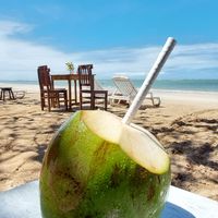 Água de Coco refrescante at Restaurante Awa Mar in Cairu