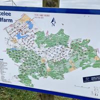   at Whitelee Windfarm Visitor Centre Cafe in Eaglesham