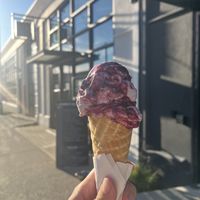Blackcurrant swirl 🤤  at Earnest Ice Cream - Fraser St in Vancouver
