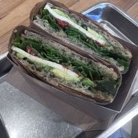   at Plants By Us in Helsinki