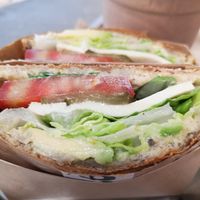   at Plants By Us in Helsinki