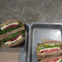  at Plants By Us in Helsinki