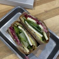 Maple af   at Plants By Us in Helsinki