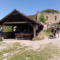 The Burgschenke at Burgschänke Wolfsburg in Neustadt