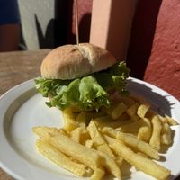   at PAPILLON  in Tenerife