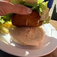   at PAPILLON  in Tenerife