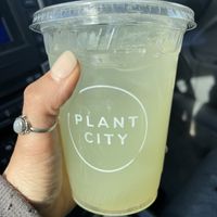 Cucumber lemonade is amazing  at Plant City in Barrington