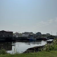 View  at Peggys Dogs in Peggys Cove
