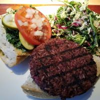 Northstar Burger with side salad at Northstar Cafe - Easton in Columbus