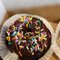 Chocolate Sprinkle at Red Eye Cafe and Donuts in Cambridge