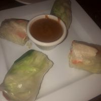 Fresh spring rolls  at Thai Mango in New Smyrna Beach