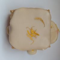 Apple Cider Cardamom Scone at Jen's Pastries in Portland