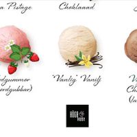 One kind of vegan ice cream at Restaurang Vardagslyx i Örnsköldsvik in Oernskoeldsvik