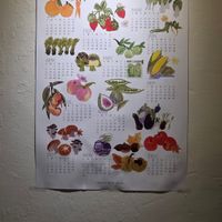  at Mada Meal in Seoul