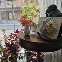  at Café Selma in Eskilstuna