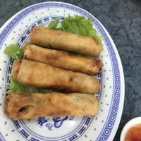 Spring rolls mmmm at World Vegan in Cabramatta