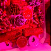  at Happy Fish at The Dog House in Edinburgh