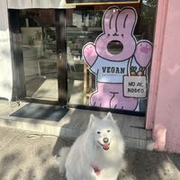   at Momo Vegan Bakery  in Nunoa