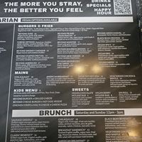  at Stray Dog in Minneapolis