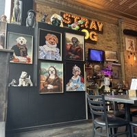  at Stray Dog in Minneapolis