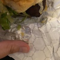 Slider  at Stray Dog in Minneapolis