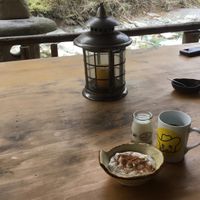 An amazingly tasty vegan homemade yoghurt from coconut and soy milk milk. With added apple chunks and chia seeds. at Earth Hostel - Nikko Riverhouse in Nikko