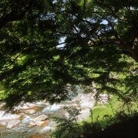  at Earth Hostel - Nikko Riverhouse in Nikko