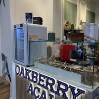   at Oakberry - Grønnegade in Copenhagen