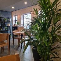  at Zili's Health Bar in Budapest