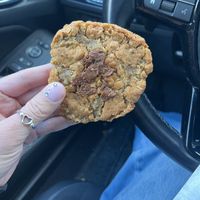 Oat cookie  at Michette in Somerville