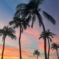 Another view from our table at Elements Restaurant in Oranjestad