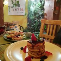 Pancakes de quinoa at Clorofila   in Potosi