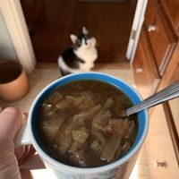 We got this cabbage soup to go! Henry approves. Yum! 😹  at Rose Hill Farm Stop in Bloomington