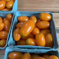 Fresh tomatoes!  at Rose Hill Farm Stop in Bloomington