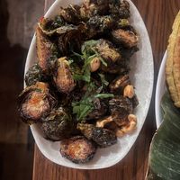 Brussels   at Gabriella's Vietnam  in Philadelphia