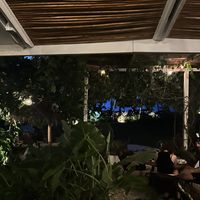 Ambient   at Spicy Coconut in Cocles