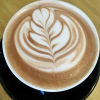 Mocha at Lamplighter - Addison St in Richmond