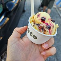 Vegan crema al limone con fondente e frutti di bosco at Mondogelato in Cadoneghe