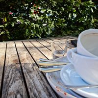 Sehr gemütlicher Platz an der Sonne 🌞 at Goodies Berlin - Schlachtensee in Berlin