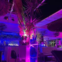 Neon relaxing vibes   at Cafe Paris in Santa Pola
