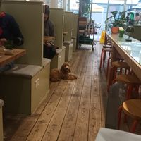 The interior. And a very cute dog ❤️. at Utter Waffle - Balham in South West London