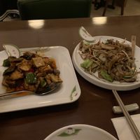 Stir fried tofu & mushrooms in medium spicy sauce w/ ho fun noodles (all gluten-free) #Veganuary at Tofu Vegan - Charlotte in London